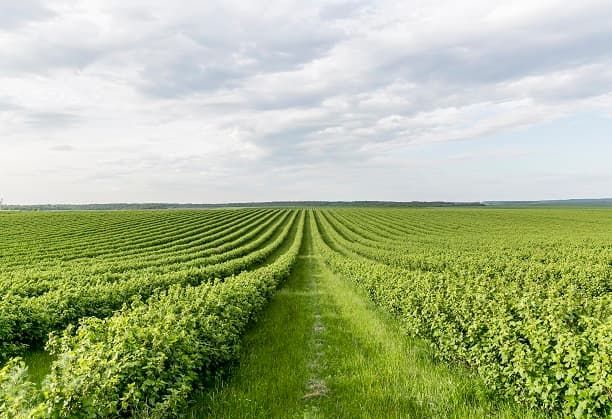 Implementation of Solar Powered multi-purpose Electric Machinery for farm use