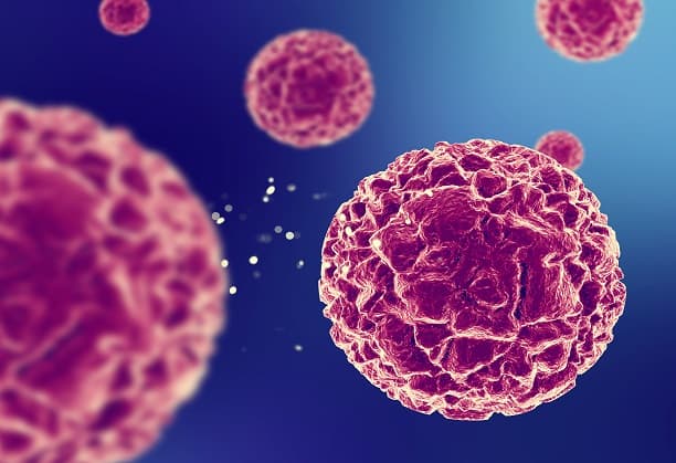 3D Cancer model & drug screening