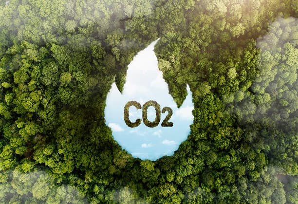 A rubric to evaluate carbon footprint-as a tool for what-if evaluations as an individual or as a med scale enterprise