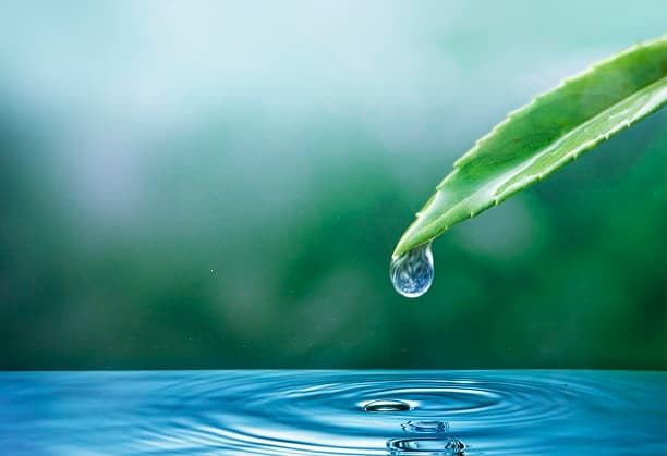 International Centre for Clean Water