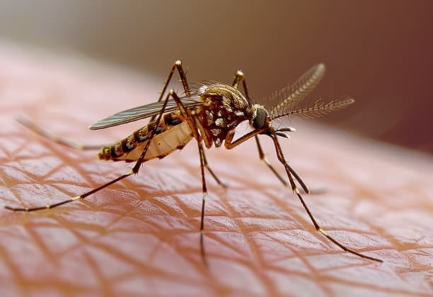 A cost-effective magneto-optic sensor for rapid malaria diagnosis