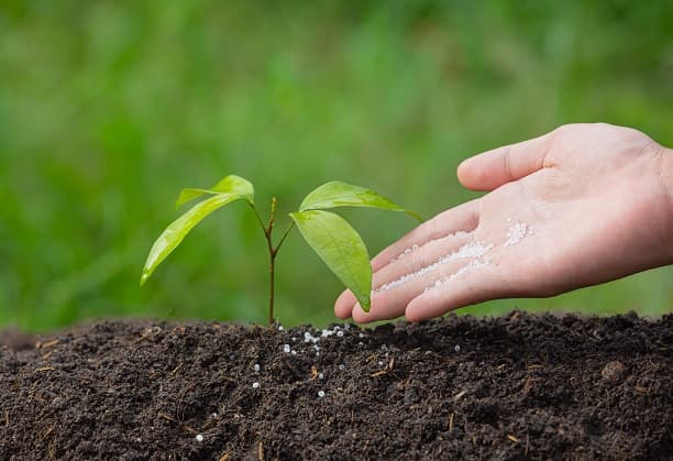 Utilization of Green Ammonia as a Sustainable Energy Source for Decarbonisation of Power Generators in Rural Applications