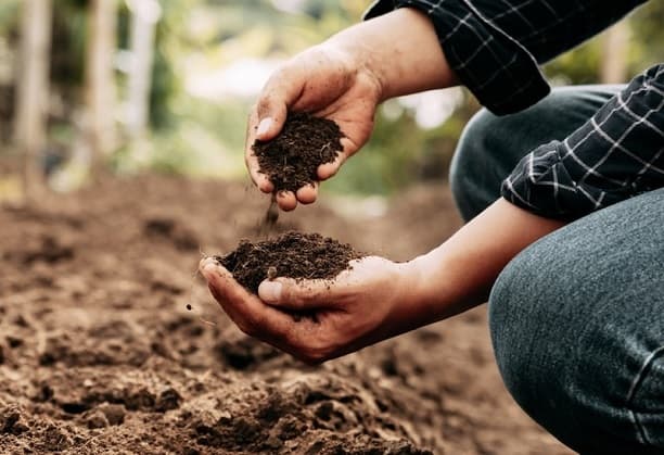 An integrative-modular-onsite toilet treatment for NPK fertilizer, carbon and water recovery
