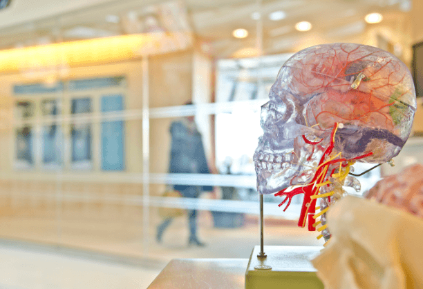 From Superstition to Science: Teaching rural school students about neurological disorders