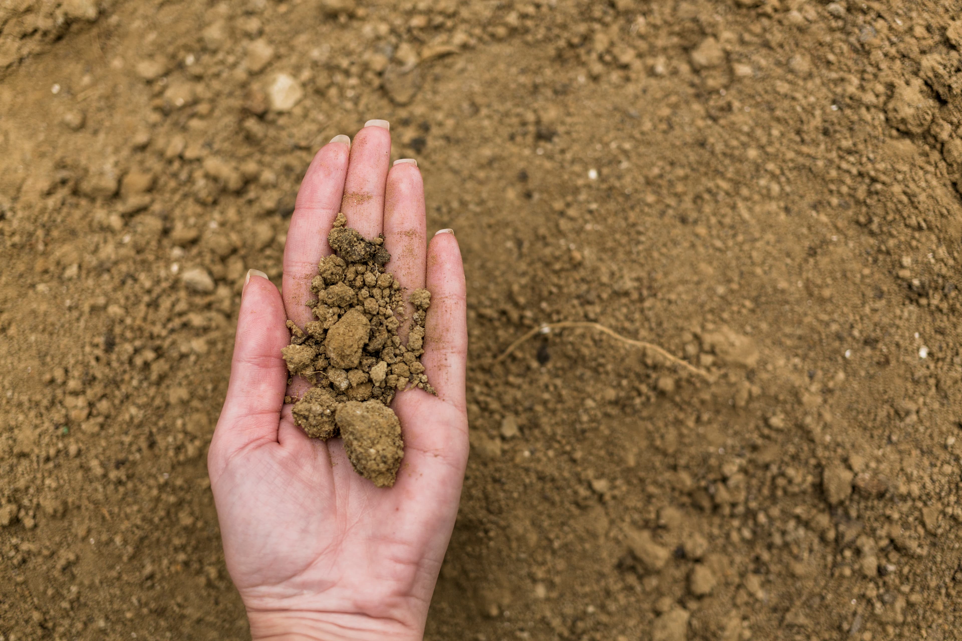 A turn-key device for detecting salinity of agricultural soil by the average Indian farmer