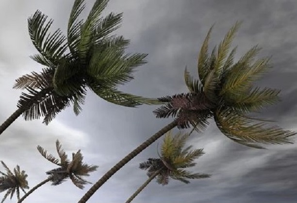 Harnessing Climate Data : Future Proofing Insurance Risk Models through Tropical Cyclone Intensities in India