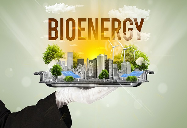 India Bio-Energy & Carbon Database
