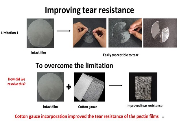 Biopolymer-based packaging materials