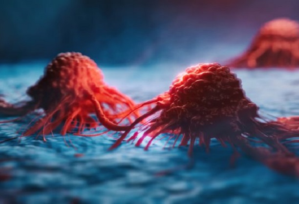 Simultaneous delivery of multiple chemotherapeutic agents at specific tumor sites through engineerable nanovesicles (Equipment)