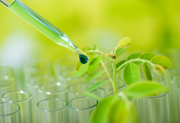 A self-sustainable rest area with an integrated recovery system to extract green chemicals, water and carbon