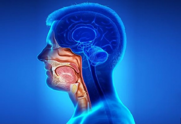 Boosting head and neck cancer survival with hyperthermia activation