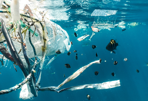 Enumeration of microplastics in water supply system and development of microplastics' removal technologies