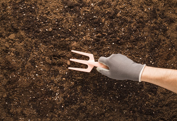 A hand-held highly sensitive electrochemical sensor for rapid on-site quantitative detection of NPK ions content in soil