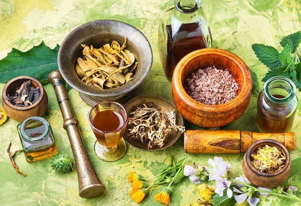 CoE for Indian Medicine System with emphasis on Siddha at DMST & Manipur Central University