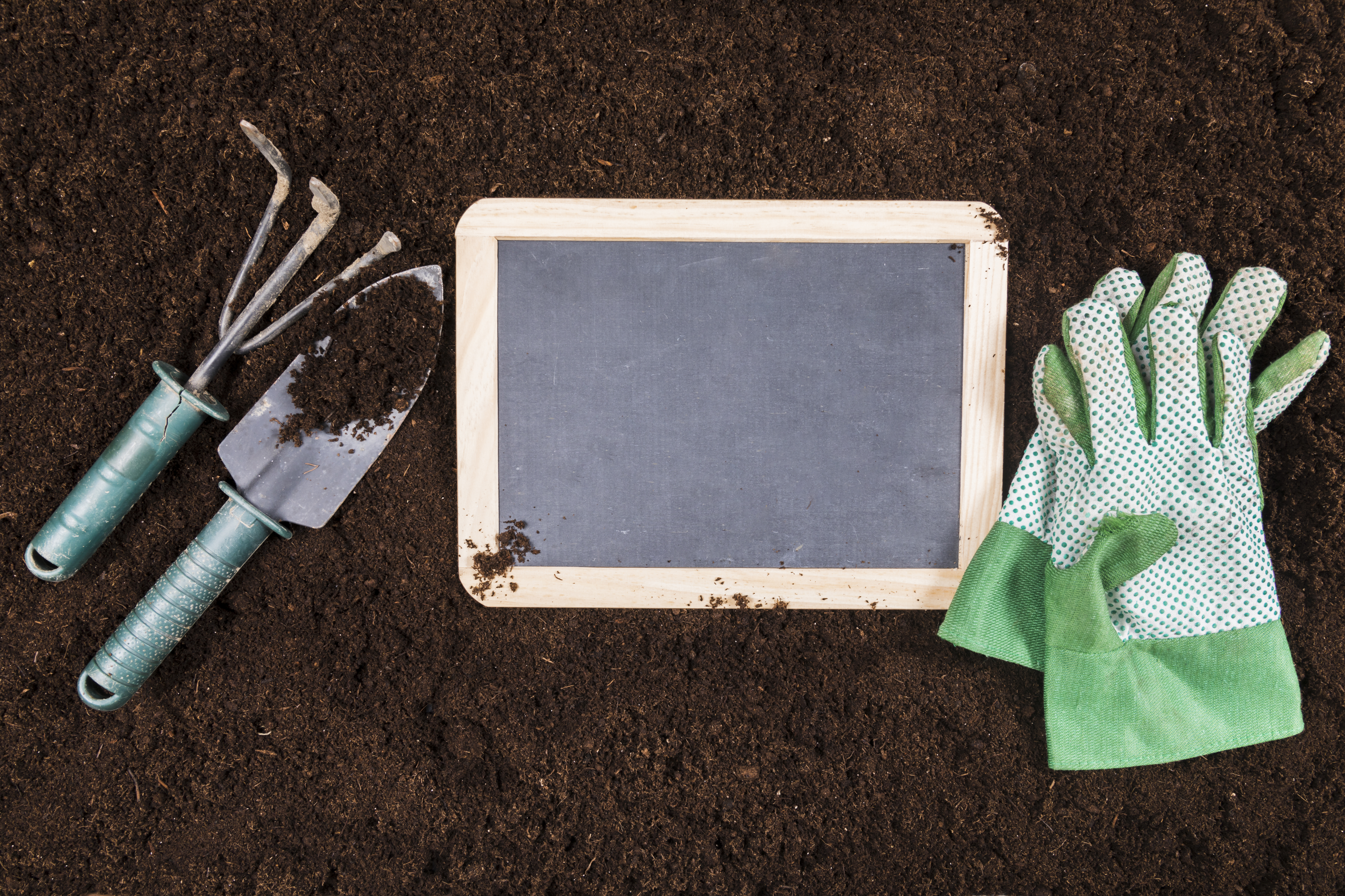 Empowering farmers with soil and fertilizer science & tools Efsoft